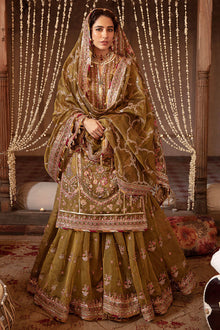 Mohsin Naveed Ranjha Iqbal Bano official product view 6