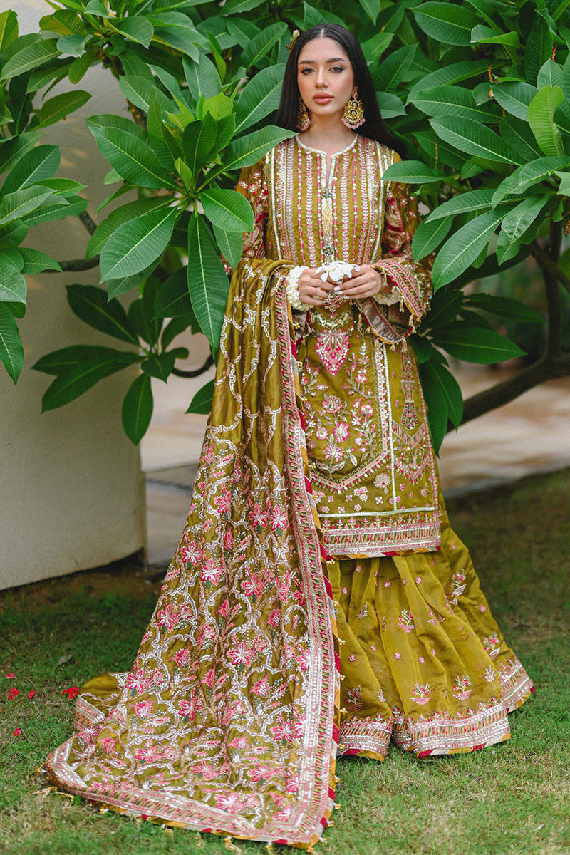Mohsin Naveed Ranjha Iqbal Bano official product view 11