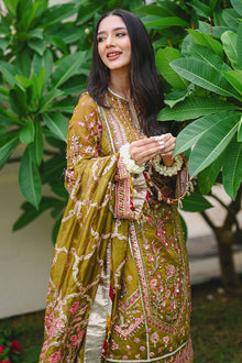 Mohsin Naveed Ranjha Iqbal Bano official product view 12