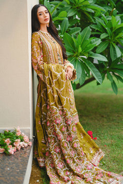Mohsin Naveed Ranjha Iqbal Bano official product view 13