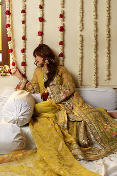 Mohsin Naveed Ranjha Nimbu official product view 2