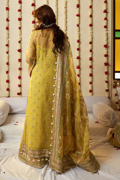 Mohsin Naveed Ranjha Nimbu official product view 3