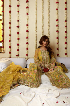 Mohsin Naveed Ranjha Nimbu official product view 4