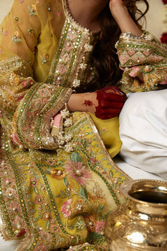 Mohsin Naveed Ranjha Nimbu official product view 6
