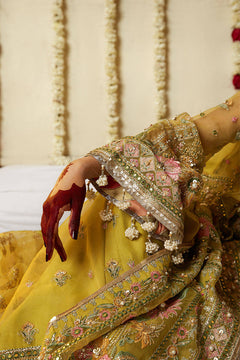 Mohsin Naveed Ranjha Nimbu official product view 7