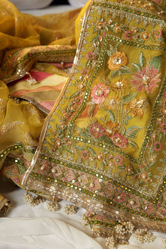 Mohsin Naveed Ranjha Nimbu official product view 8