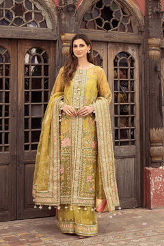 Mohsin Naveed Ranjha Nimbu official product view 10