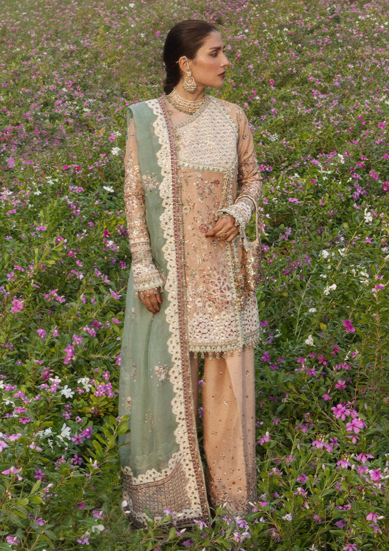Formals - Hussain Rehar - The Doll House Festive Unstitched 26 - Gohar Ara