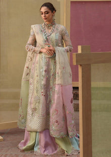 Formals - Crimson - Jhilmil Wedding 26 - CW-D#07 - RANGOLI image 1