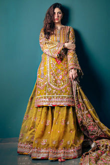 Mohsin Naveed Ranjha Iqbal Bano - photo 1
