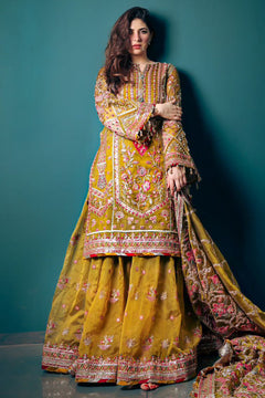 Mohsin Naveed Ranjha Iqbal Bano - photo 1