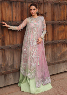 Formals - Crimson - Jhilmil Wedding 26 - CW-D#04 - TILSAM image 1