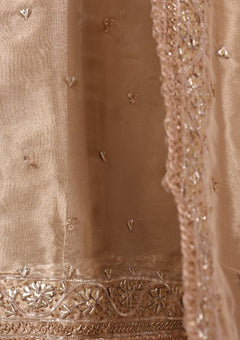 Formals - Bahawalpur Pehnawa - Masuri Gota Work - 2 Piece - D#06 - photo 3