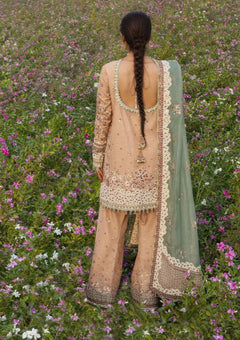 Formals - Hussain Rehar - The Doll House Festive Unstitched 26 - Gohar Ara photo 2