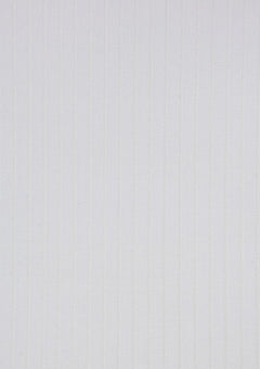 Vitale Barberis Canonico Brilliance Stripe Wool Fabric - L Grey photo 2