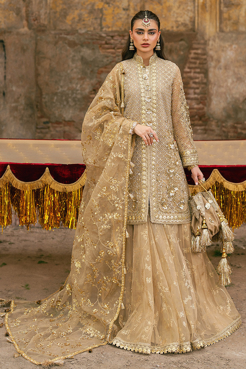 Mohsin Naveed Ranjha Roshni - photo 2