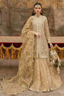 Mohsin Naveed Ranjha Roshni - photo 2