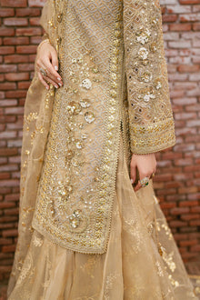 Mohsin Naveed Ranjha Roshni - photo 10