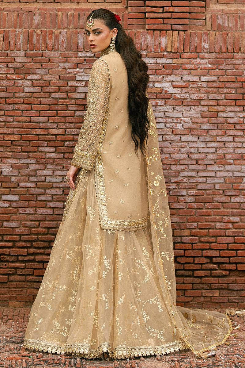 Mohsin Naveed Ranjha Roshni - photo 12