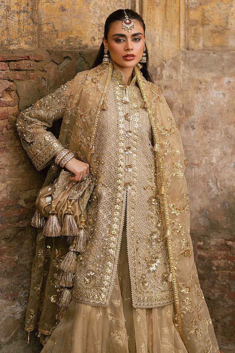 Mohsin Naveed Ranjha — Roshni