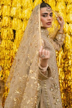 Mohsin Naveed Ranjha Roshni - photo 5