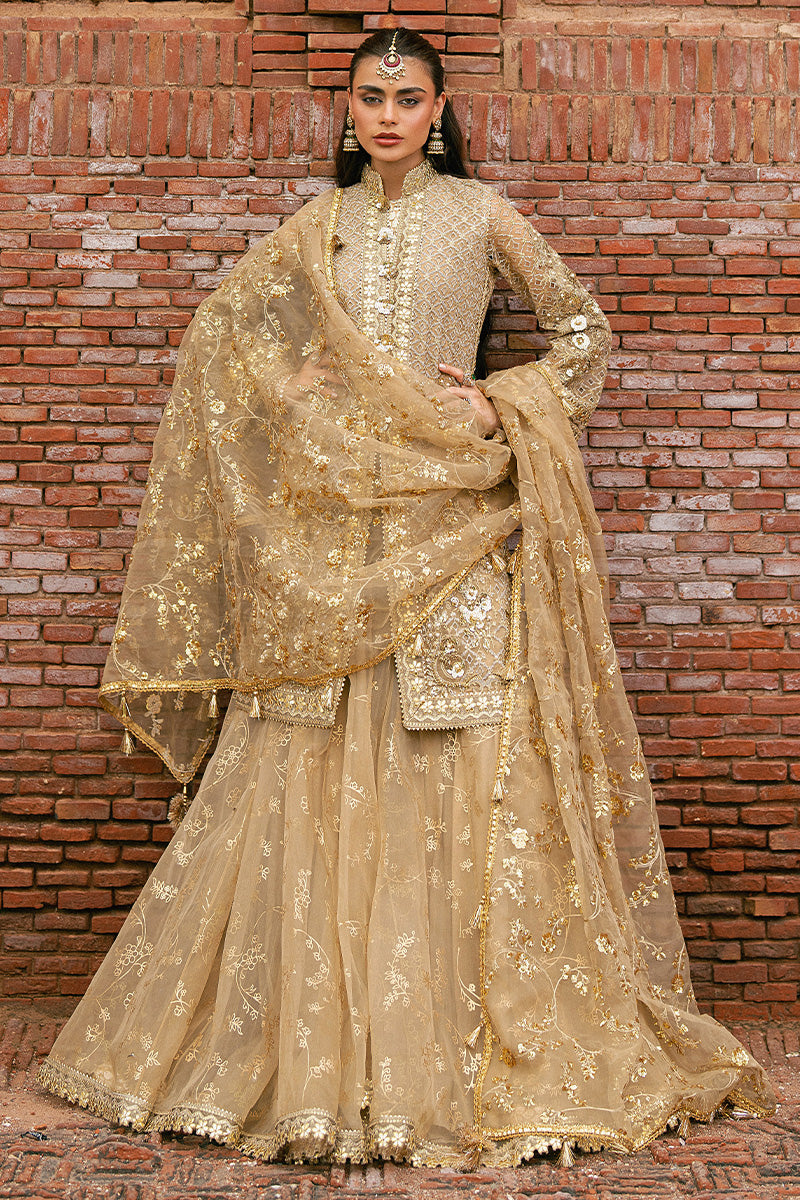 Mohsin Naveed Ranjha Roshni - photo 6