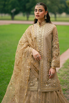 Mohsin Naveed Ranjha Roshni - photo 7