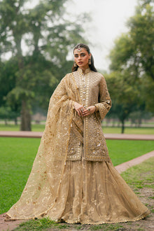 Mohsin Naveed Ranjha Roshni - photo 8
