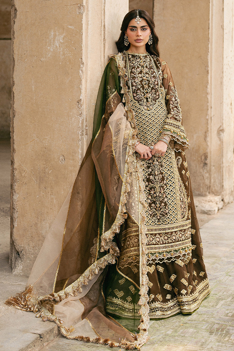 Mohsin Naveed Ranjha — Tabeer