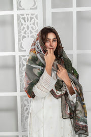 ZARFINA IALC-UF-17 ready-to-wear lawn suit - image 4