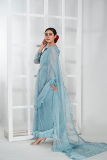 Imran Aftab - Lux Saree Collection - IASC 29