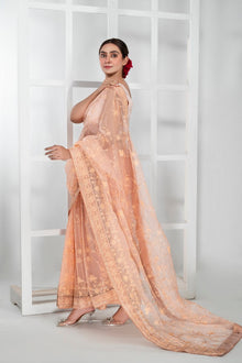 Imran Aftab - Lux Saree Collection - IASC 31