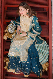 Mohsin Naveed Ranjha Lehar - photo 12
