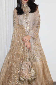Mohsin Naveed Ranjha Roshni - photo 13