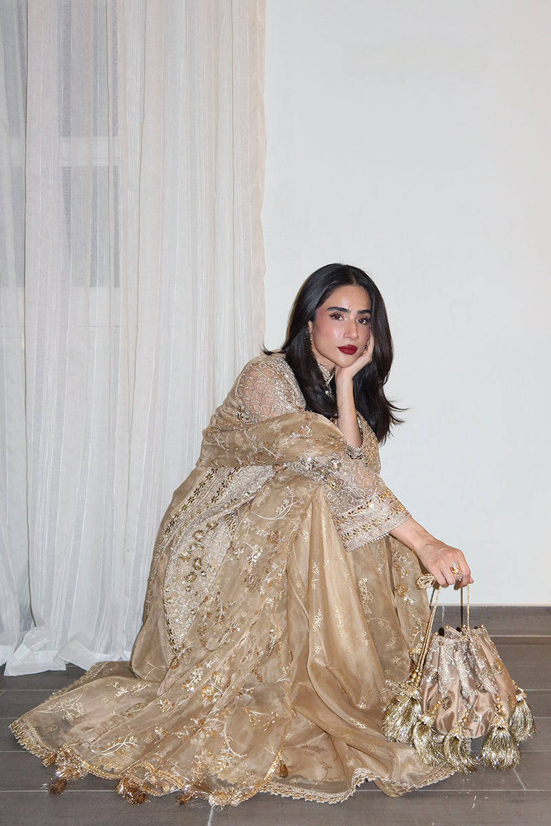 Mohsin Naveed Ranjha Roshni - photo 15