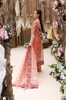 Shiza Hassan Mahgul - photo 4