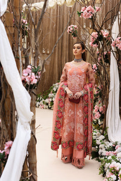 Shiza Hassan Mahgul - photo 5