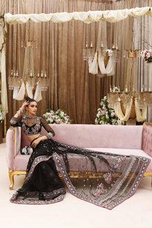 Shiza Hassan Pareeza - photo 4