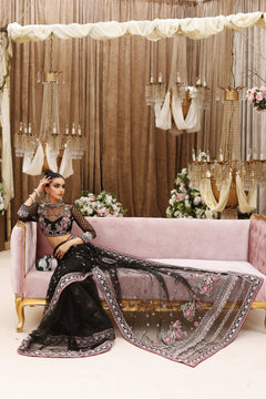 Shiza Hassan Pareeza - photo 4