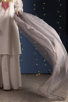 Gold Light Dupatta — S26F7106-Steel Gray-One Size photo 1
