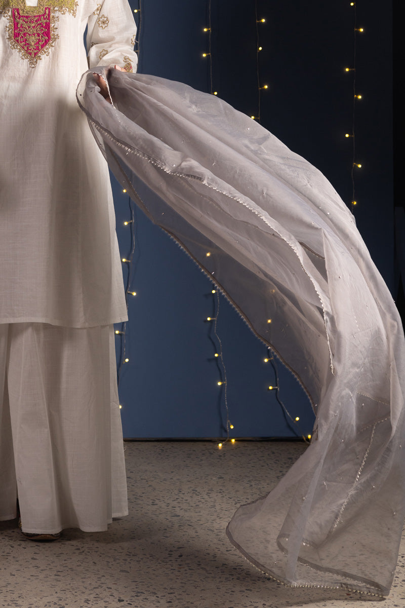 Gold Light Dupatta — S26F7106-Steel Gray-One Size