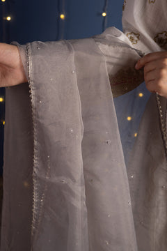 Gold Light Dupatta — S26F7106-Steel Gray-One Size photo 2