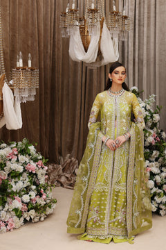 Shiza Hassan Tabeer - photo 3