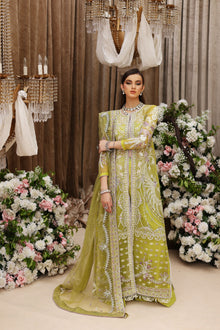 Shiza Hassan Tabeer - photo 1