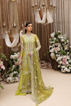 Shiza Hassan Tabeer - photo 2