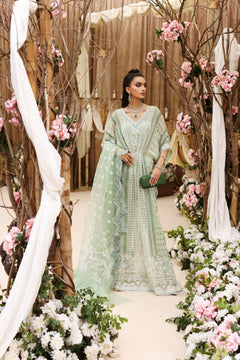 Shiza Hassan Zaha - photo 3