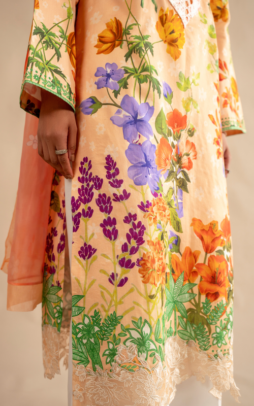 Asifa & Nabeel Marigold Muse MSSL-11 official image 2