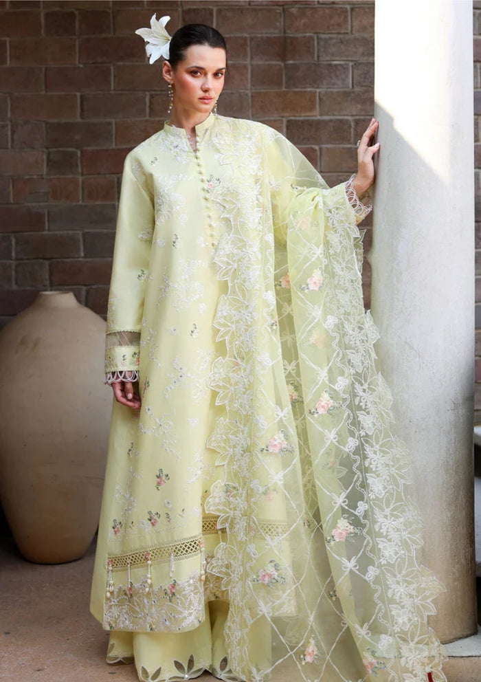 Lawn - Cross Stitch - Eid Edit-II - LWN#0206 - CITRUS LACE