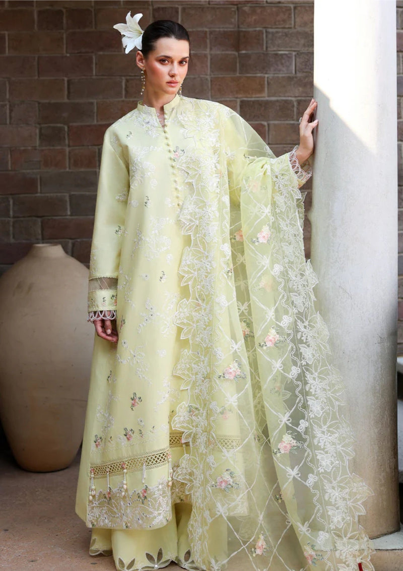 Lawn - Cross Stitch - Eid Edit-II - LWN#0206 - CITRUS LACE