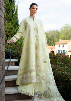 Lawn - Cross Stitch - Eid Edit-II - LWN#0206 - CITRUS LACE photo 2